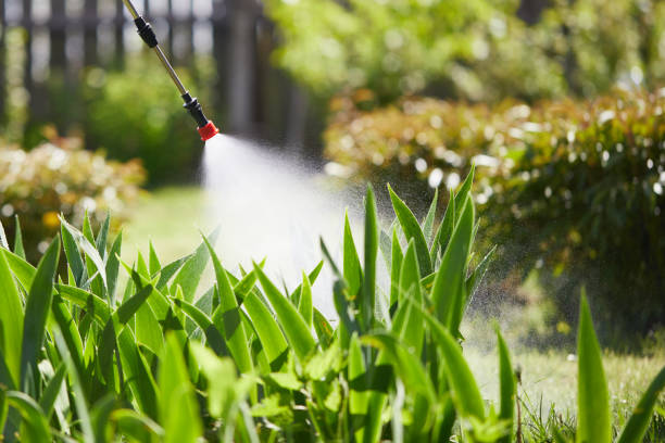 Tamper-Resistant Bait Stations for Rodents in Oak Point