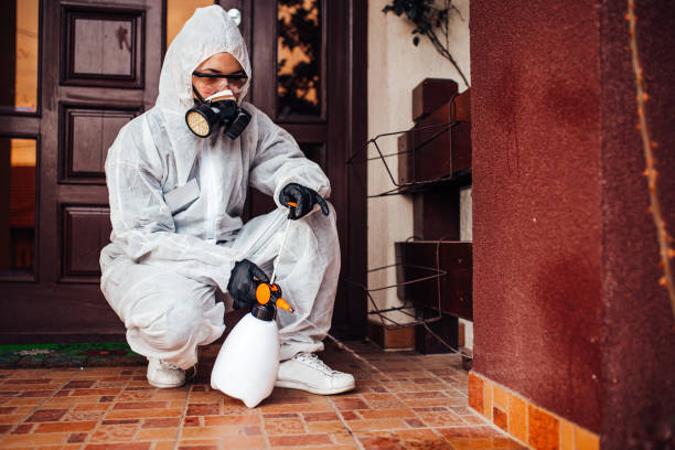 Attic and Crawl Space Rodent Treatment in Oak Point