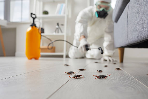 Commercial Rodent Management in Oak Point